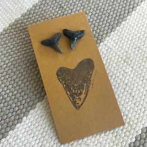 Shark Teeth Stud Earrings